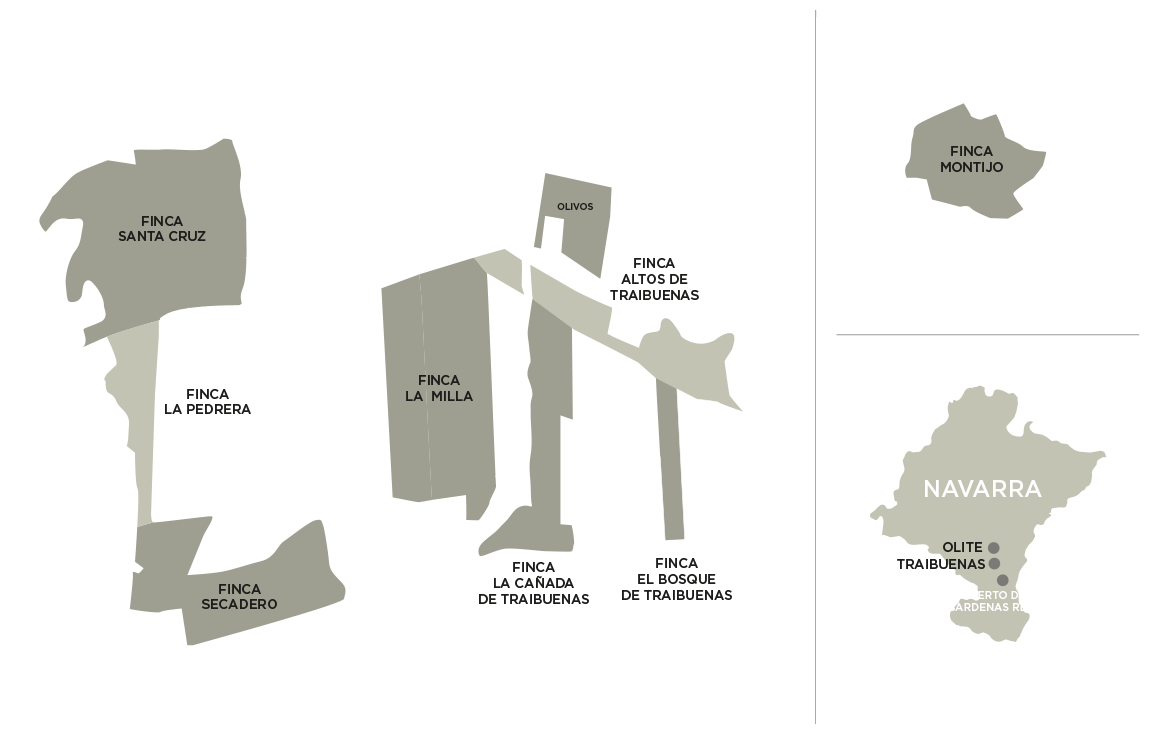mapa-fondo-FINCAS-Bodegas_Ochoa