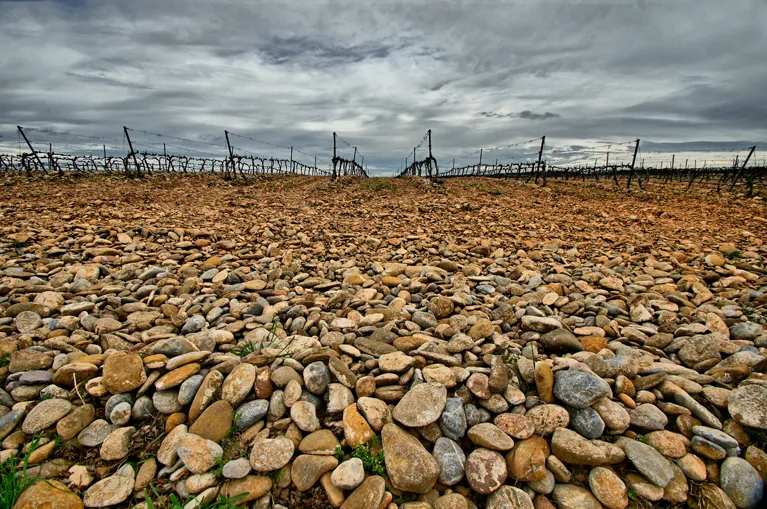 naturaleza-fincas-FINCA SECADERO-bodegas_Ochoa