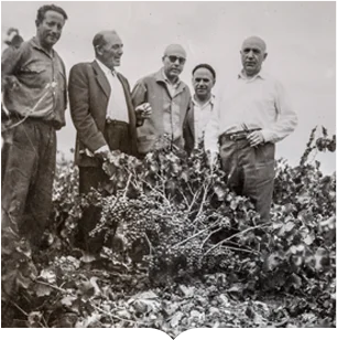 timeline-img-1930-Bodegas_Ochoa
